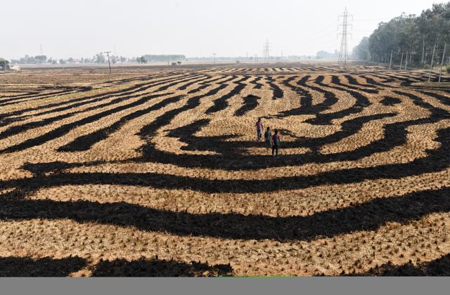 A farm in Kurukshertra, Haryana, where the crop stubble was burnt following the harvest. (Ravi Choudhary/HT Photo) A farm in Kurukshertra, Haryana, where the crop stubble was burnt following the harvest. (Ravi Choudhary/HT Photo)