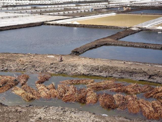 For years, Maharashtra has been pushing for the opening up of salt pan lands for housing-related purposes.(HT File Photo)