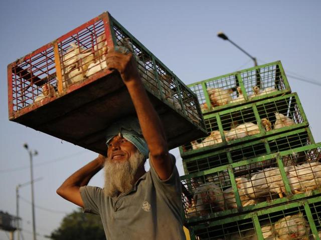 Labourer working at the Ghazipur chicken mandi in New Delhi. (Ravi Choudhary/HT PHOTO)