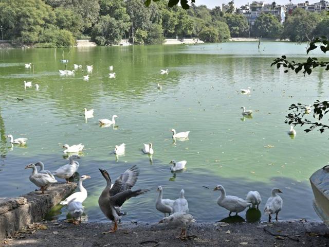 A view of Deer Park, Hauz Khas Village which is also temporarily closed for visitors as a precautionary measure after eight birds died. (Arun Sharma/HT PHOTO)