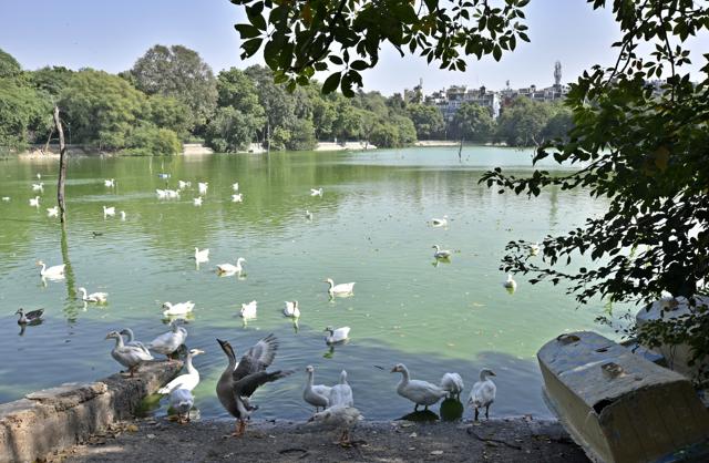 The District Park in Hauz Khas which has been closed for more than 15 days now due to the bird flu scare will open by the end of next week. The District Park in Hauz Khas which has been closed for more than 15 days now due to the bird flu scare will open by the end of next week.