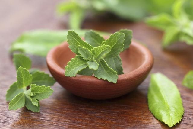 Stevia is the safest natural substitute for sugar for people suffering from diabetes and other health conditions. (iStock) Stevia is the safest natural substitute for sugar for people suffering from diabetes and other health conditions. (iStock)