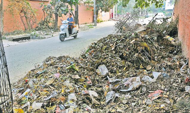 Heaps of garbage lying outside Government Model Senior Secondary School in the same sector. (Keshav Singh/HT) Heaps of garbage lying outside Government Model Senior Secondary School in the same sector. (Keshav Singh/HT)