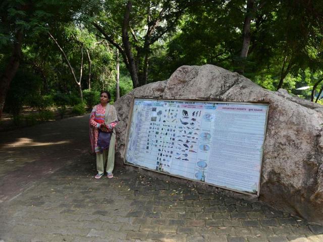 Nature educator Kusum Suthar speaks at the dinosaur park. (AFP)