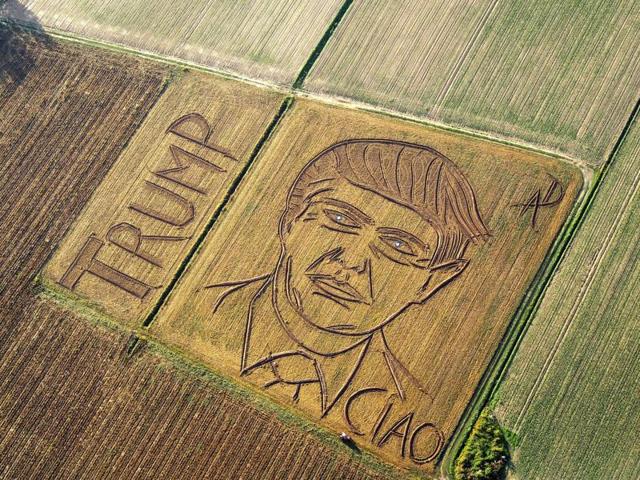 An aerial view of a giant portrait of Donald Trump made by Italian land artist Dario Gambarin using his tractor in a field near Verona in Italy. (AP) An aerial view of a giant portrait of Donald Trump made by Italian land artist Dario Gambarin using his tractor in a field near Verona in Italy. (AP)
