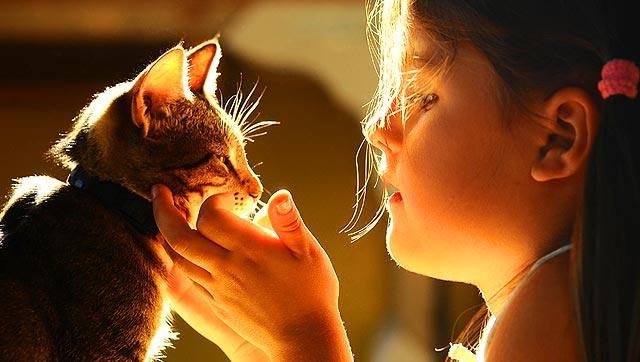 Keeping a pet at home could help improve the social skills of children with autism. (Shutterstock) Keeping a pet at home could help improve the social skills of children with autism. (Shutterstock)