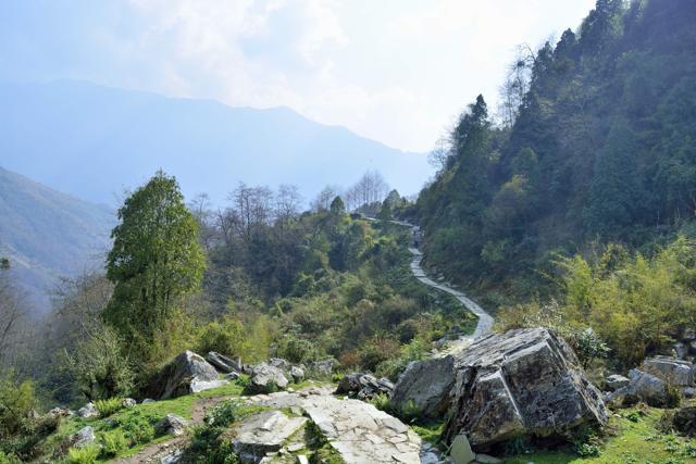 The stone trail from Ghandruk to Chomrong, as seen early in the morning (Ram Yeggina) The stone trail from Ghandruk to Chomrong, as seen early in the morning (Ram Yeggina)
