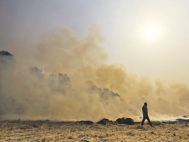 A government release said it reviewed the ambient air quality of the city on the eve of Diwali and found NASA satellite images of October 26 that show fires raging in the fields of Punjab and Haryana due to burning of agricultural residue. (Ravi Choudhary/Hindustan Times) A government release said it reviewed the ambient air quality of the city on the eve of Diwali and found NASA satellite images of October 26 that show fires raging in the fields of Punjab and Haryana due to burning of agricultural residue. (Ravi Choudhary/Hindustan Times)