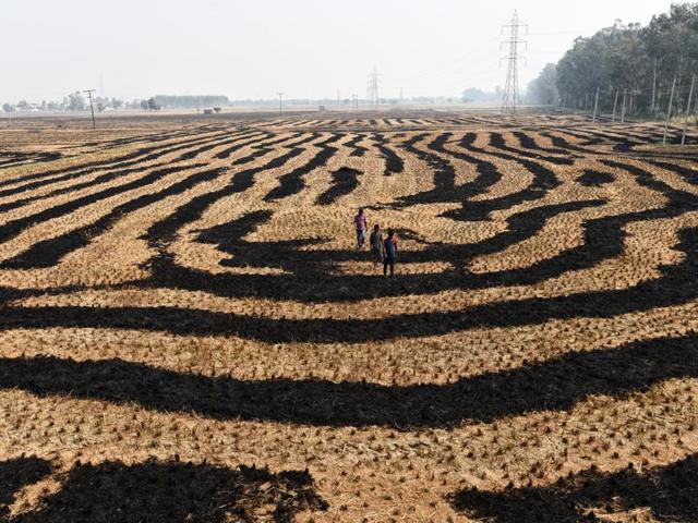A rugged piece of land after the burning of paddy crop in Haryana . (Ravi Choudhary/HT Photo)