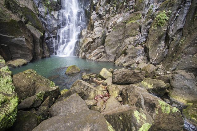 Hot springs on the island of Dominica. (iStock) Hot springs on the island of Dominica. (iStock)