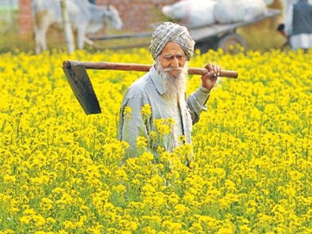 Nineteen years after the catastrophic partition of Punjab between India and Pakistan, the border state’s map was redrawn again on November 1, 1966 — on the basis of language. (Bharat Bhushan/HT File Photo) Nineteen years after the catastrophic partition of Punjab between India and Pakistan, the border state’s map was redrawn again on November 1, 1966 — on the basis of language. (Bharat Bhushan/HT File Photo)