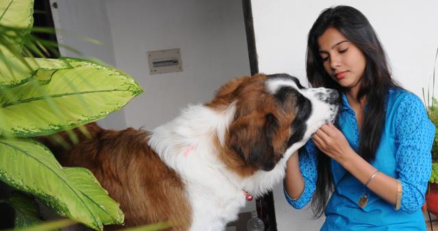 Allankrita has three pets at home and is also taking care of 8-10 street dogs of her locality in Aliganj. (Ashok Dutta/HT photo) Allankrita has three pets at home and is also taking care of 8-10 street dogs of her locality in Aliganj. (Ashok Dutta/HT photo)