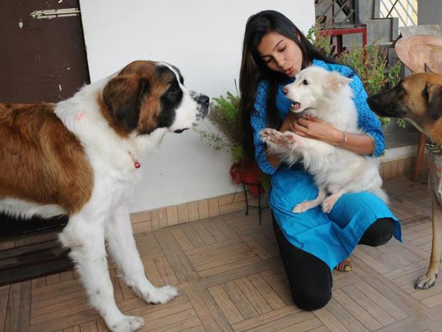 Allankrita Sarkar, a 23-year-old LLB student of Lucknow University, beat nine other female finalists to bag the ‘PETA India’s Cutest Vegetarian Next Door’ online contest. (Ashok Dutta/HT photo) Allankrita Sarkar, a 23-year-old LLB student of Lucknow University, beat nine other female finalists to bag the ‘PETA India’s Cutest Vegetarian Next Door’ online contest. (Ashok Dutta/HT photo)