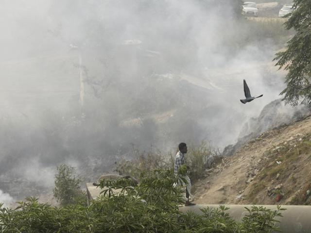 Burning leaves add to the already thick smog seen at Mayur Vihar area in New Delhi, India, on Wednesday, November 2, 2016. (Sushil Kumar/HT PHOTO) Burning leaves add to the already thick smog seen at Mayur Vihar area in New Delhi, India, on Wednesday, November 2, 2016. (Sushil Kumar/HT PHOTO)