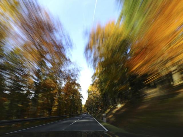 A view of late autumn colours near Frankfurt, Germany November 1, 2016. (REUTERS/Kai Pfaffenbach)