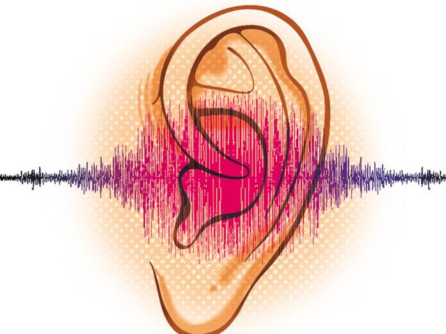 According to data from the Maharashtra Pollution Control Board, the decibel (dB) level during the three days of Diwali was highest at Subhash Nagar, Goregaon during the day (6am to 10pm), with average noise levels at 81.4 dB. (HT) According to data from the Maharashtra Pollution Control Board, the decibel (dB) level during the three days of Diwali was highest at Subhash Nagar, Goregaon during the day (6am to 10pm), with average noise levels at 81.4 dB. (HT)
