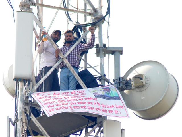 Protesters seeking teaching jobs from the Punjab government on a mobile signal tower in Sector 3, Chandigarh, on Thursday.(Anil Dayal/HT Photo)