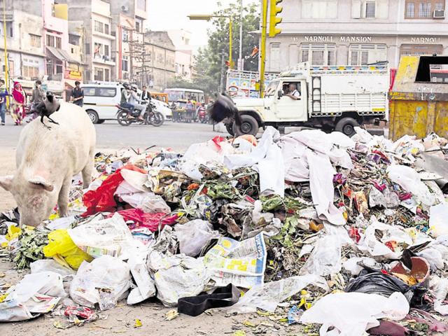 Garbage lies uncleared in Jaipur on Thursday. (HT Photo) Garbage lies uncleared in Jaipur on Thursday. (HT Photo)