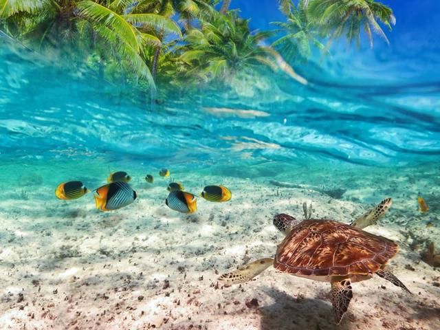 Playa del Carmen is a popular tourist area in eastern Mexico. (Shutterstock) Playa del Carmen is a popular tourist area in eastern Mexico. (Shutterstock)