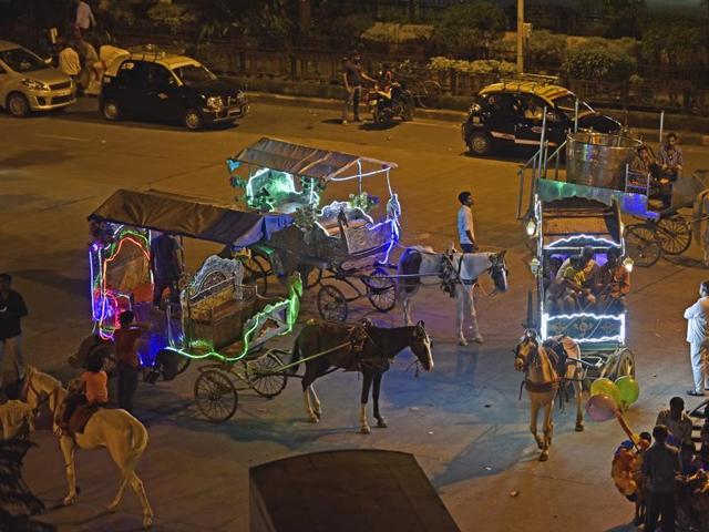Victorias wait for customers. (Vijayanand Gupta/HT PHOTO) Victorias wait for customers. (Vijayanand Gupta/HT PHOTO)