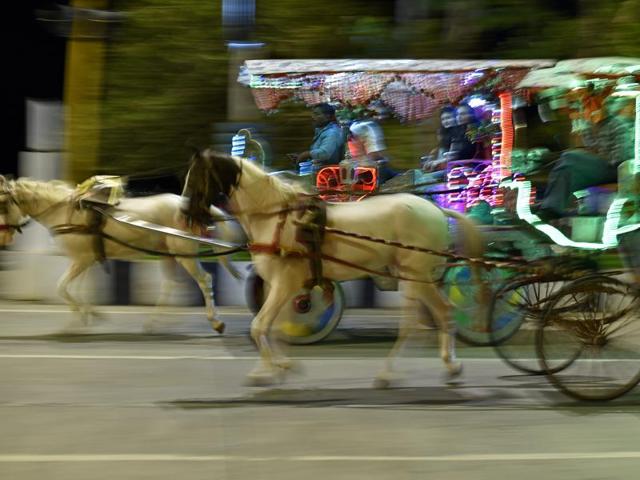 As they go whizzing past the city’s colourful facades, it still remains a question if their future will gallop at the same pace. (Vijayanand Gupta/HT PHOTO) As they go whizzing past the city’s colourful facades, it still remains a question if their future will gallop at the same pace. (Vijayanand Gupta/HT PHOTO)