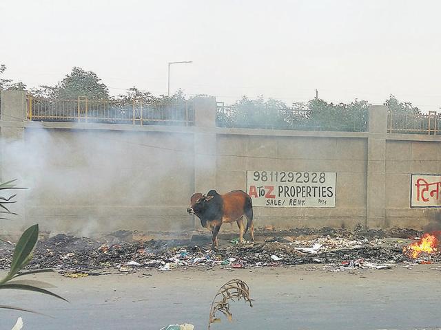 Gautam Budh Nagar district magistrate NP Singh has sought the opinion of the chief medical officer and all private school principals on the impact of pollution on children’s health. Gautam Budh Nagar district magistrate NP Singh has sought the opinion of the chief medical officer and all private school principals on the impact of pollution on children’s health.