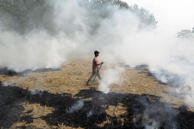 A farm labourer burns paddy stubble in a field on the outskirts of Jalandhar in Punjab on November 4. New Delhi and surrounding areas have been covered in smog in recent days, blamed on farmers in neighbouring states burning stubble in their fields after the harvest. (AFP) A farm labourer burns paddy stubble in a field on the outskirts of Jalandhar in Punjab on November 4. New Delhi and surrounding areas have been covered in smog in recent days, blamed on farmers in neighbouring states burning stubble in their fields after the harvest. (AFP)
