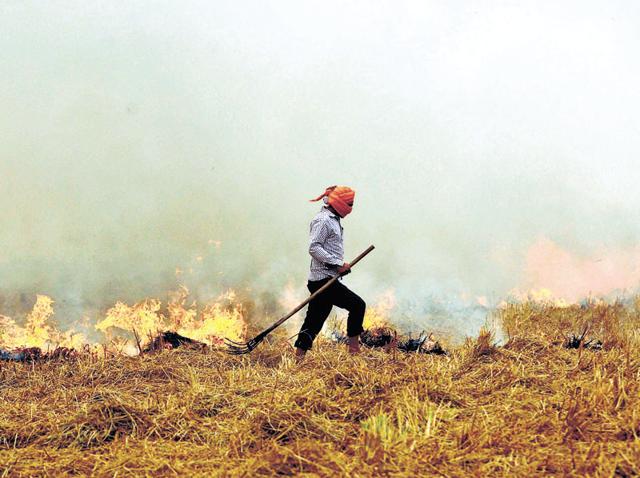Stubble burning in Punjab is rampant despite a ban on the practice. (HT File) Stubble burning in Punjab is rampant despite a ban on the practice. (HT File)