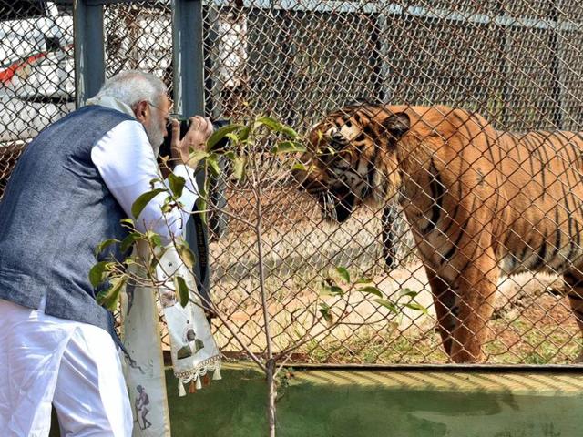 Prime Minister Narendra Modi visits Nandan Van Jungle in Chhattisgarh on November 1, 2016. (PIB) Prime Minister Narendra Modi visits Nandan Van Jungle in Chhattisgarh on November 1, 2016. (PIB)