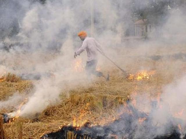 “It (smog) is not from Punjab, it has been emitted from your (Delhi’s) vehicular traffic, coal-based power plants and burning of garbage. Please don’t blame Punjab for your pollution,” Punjab agriculture minister Tota Singh told Union minister of state for environment Anil Madhav Dave in New Delhi on Monday. (HT File Photo) “It (smog) is not from Punjab, it has been emitted from your (Delhi’s) vehicular traffic, coal-based power plants and burning of garbage. Please don’t blame Punjab for your pollution,” Punjab agriculture minister Tota Singh told Union minister of state for environment Anil Madhav Dave in New Delhi on Monday. (HT File Photo)