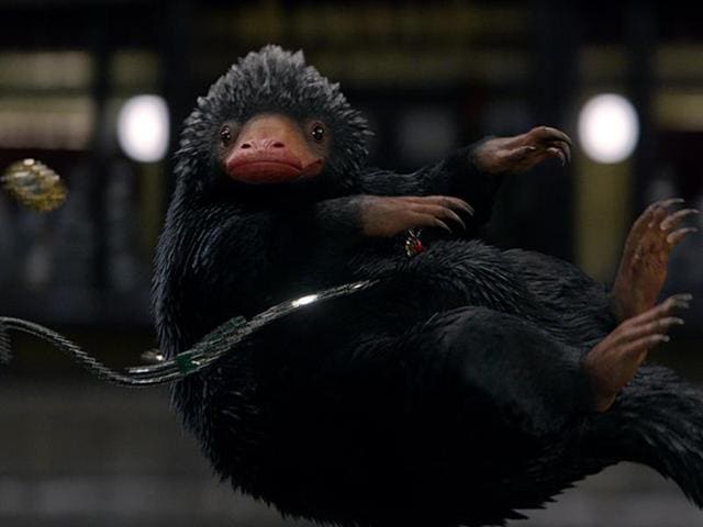 The Niffler is a British beast. Fluffy, black and long-snouted, this burrowing creature has a predilection for anything glittery. Nifflers are often kept by goblins to burrow deep into the earth for treasure.  (Pottermore) 