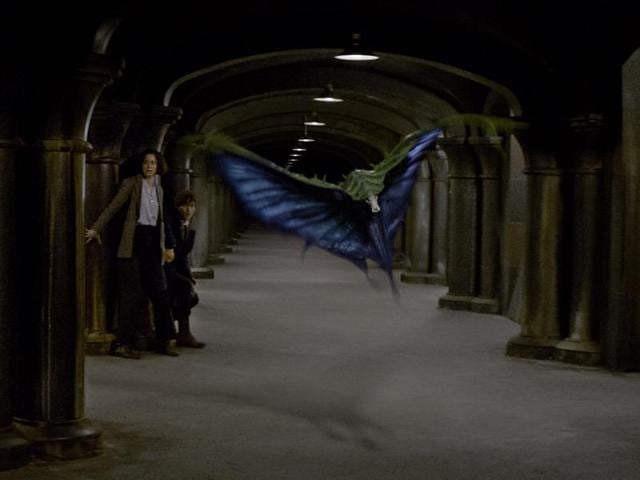 Swooping Evil: A large, butterfly-like creature that emerges from a small object, possibly a cocoon (Pottermore) 