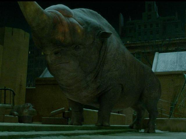 The Erumpent is a large grey African beast of great power. Weighing up to a tonne, the Erumpent may be mistaken for a rhinoceros at a distance. It has a thick hide that repels most charms and curses, a large, sharp horn upon its nose and a long, rope- like tail. Erumpents give birth to only one calf at a time. (Pottermore) 
