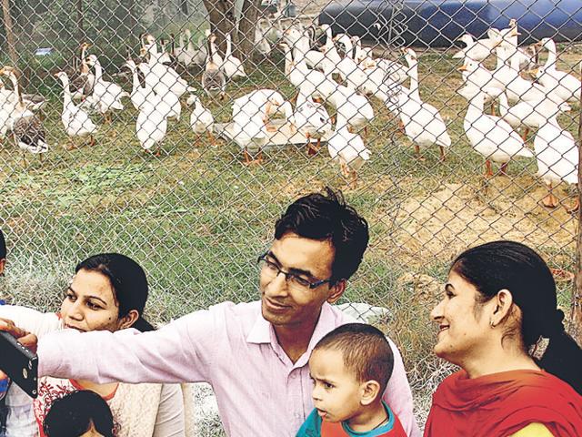 A family taking a selfie with ducks that have now been put behind an iron mesh after a bird flu threat in Rohtak on Sunday.(Manoj Dhaka/HT Photo) A family taking a selfie with ducks that have now been put behind an iron mesh after a bird flu threat in Rohtak on Sunday.(Manoj Dhaka/HT Photo)
