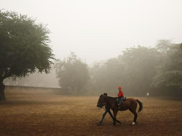 The Capital recorded an average level of PM2.5 — tiny particulate matter that can clog lungs — at nearly 600 micrograms per cubic meter on Sunday. That’s more than 60 times the level considered safe by the WHO and 10 times the government’s norms. (Sanchit Khanna/HT PHOTO) The Capital recorded an average level of PM2.5 — tiny particulate matter that can clog lungs — at nearly 600 micrograms per cubic meter on Sunday. That’s more than 60 times the level considered safe by the WHO and 10 times the government’s norms. (Sanchit Khanna/HT PHOTO)
