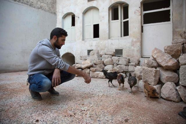 Amir Sendeh feeds chickens in his small rooftop garden, in the Kalasseh district of besieged eastern Aleppo. (AFP Photo)