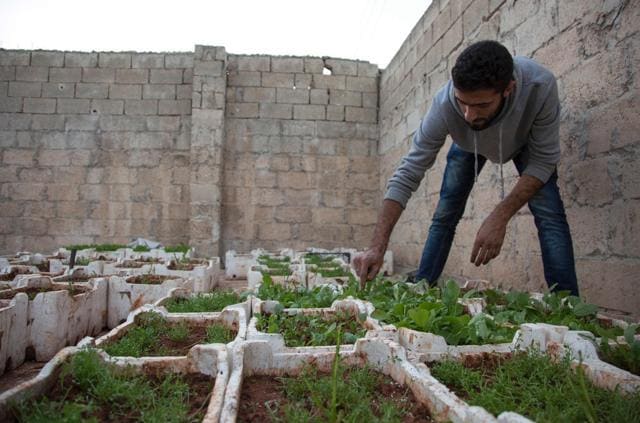 Sendeh tends to plants in his small rooftop garden. (AFP Photo)