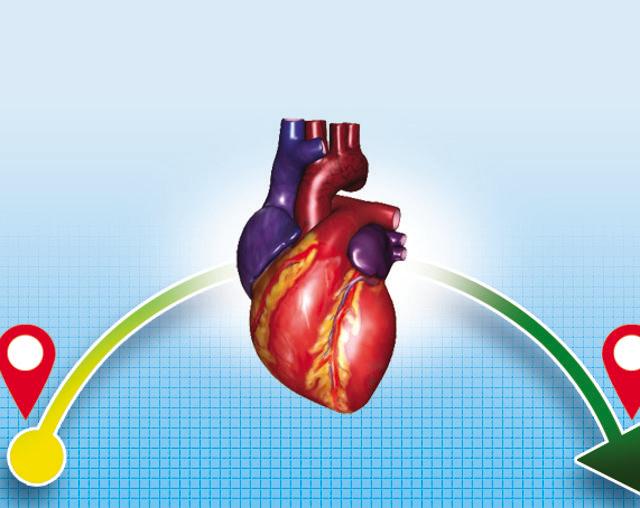 The donor’s heart was transported from Indore, Madhya Pradesh, to Mumbai in two hours by air, covering a distance of 566 km (HT)