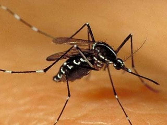 The move comes after HT reported on October 15 that private hospitals were not reporting cases of dengue regularly to the civic body. (HT File Photo) The move comes after HT reported on October 15 that private hospitals were not reporting cases of dengue regularly to the civic body. (HT File Photo)