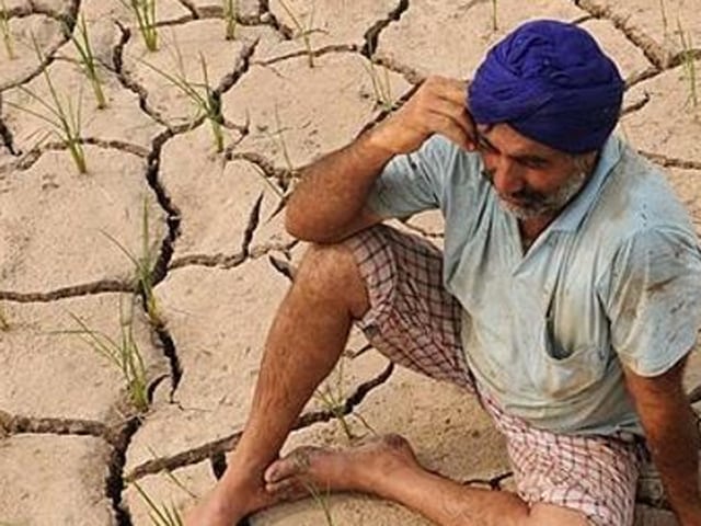 The spurt in suicides by debt-ridden farmers for the past one year has become a volatile election issue and the aim is to woo the farmers — the most important section of the state electorate.(HT File Photo)