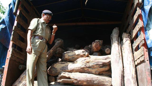 Give me red: India exits international negative list of Red Sanders export  after two decades