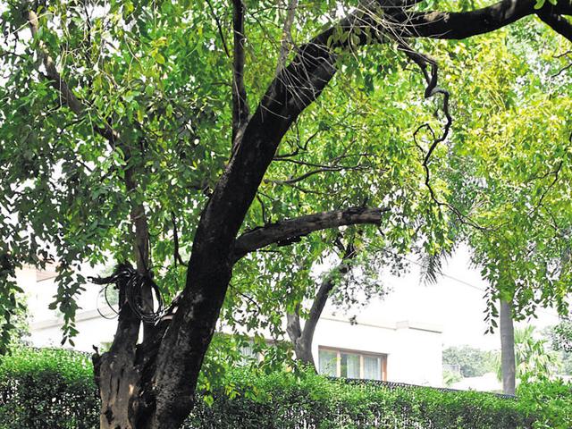 Delhi’s high-end market will be affected by the government’s move to demonetise Rs 500 and Rs 1000, especially in areas where the circle rate is more than the market rate.(Saumya Khandelwal/HT PHOTO) Delhi’s high-end market will be affected by the government’s move to demonetise Rs 500 and Rs 1000, especially in areas where the circle rate is more than the market rate.(Saumya Khandelwal/HT PHOTO)