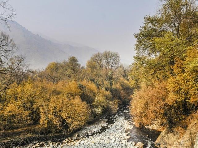 In the months right before winter, the Valley is marked by a network by little rivulets flanked by flora drenched in fall colours.The unrest in Kashmir has hit one of the state’s most lucrative sectors - tourism, which contributes around 20% to the state’s GDP and 30% of the population makes a living out of it. (Waseem Andrabi /HT Photo)