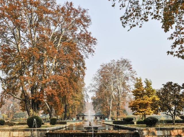 One of the many parks in Srinagar. The capital along with other tourist spots of Pahalgam, Gulmarg and Sonamarg have become ghost towns since a curfew was imposed in the Valley. “We were at the peak of the tourist rush when the unrest started. We had made investments for autumn as we had huge bookings. All is finished now,” said a hotelier in Srinagar to IANS. (Waseem Andrabi /HT Photo)