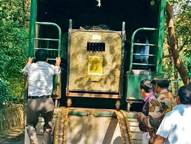 The cage in which the leopard was trapped on Saturday. (HT Photo) The cage in which the leopard was trapped on Saturday. (HT Photo)