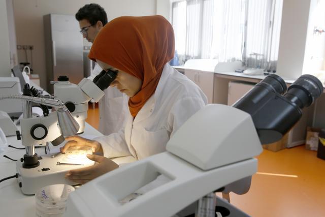 Inaam El Meziani, assistant researcher at ICARDA, inspects seeds to ensure they are free from diseases in the Rabat seed bank, Morocco. (AP Photo) Inaam El Meziani, assistant researcher at ICARDA, inspects seeds to ensure they are free from diseases in the Rabat seed bank, Morocco. (AP Photo)