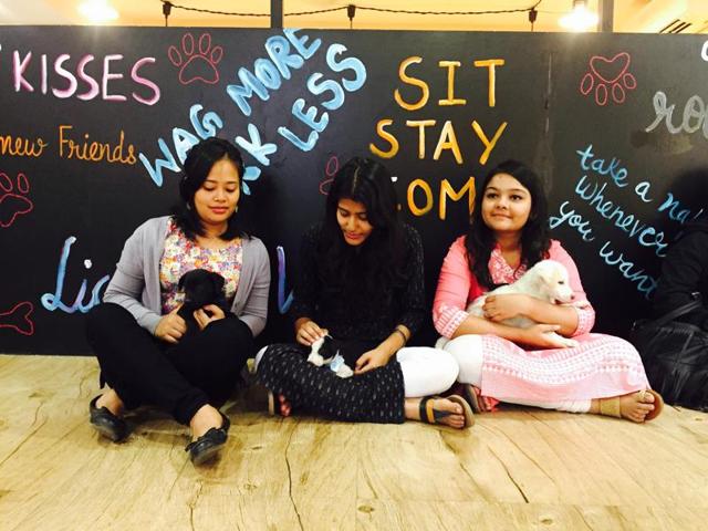 The group of five looks after the feeding, sterilisation, and adoption of campus strays. The group of five looks after the feeding, sterilisation, and adoption of campus strays.