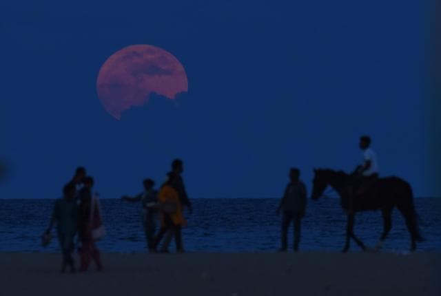 A man rides a horse past people watching the supermoon rise at Marina Beach in Chennai. (AFP Photo) A man rides a horse past people watching the supermoon rise at Marina Beach in Chennai. (AFP Photo)