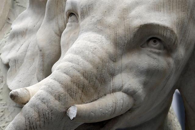 A close-up of the damaged tusk of the Elephant and Obelisk statue, designed by Gian Lorenzo Bernini, in piazza della Minerva near the Pantheon, in Rome. (AP)
