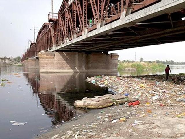 The banks of the river Yamuna in New Delhi are contaminated with pollutants, heavy metals and more, making it unfit for vegetation, the National Green Tribunal said.(AP File Photo)